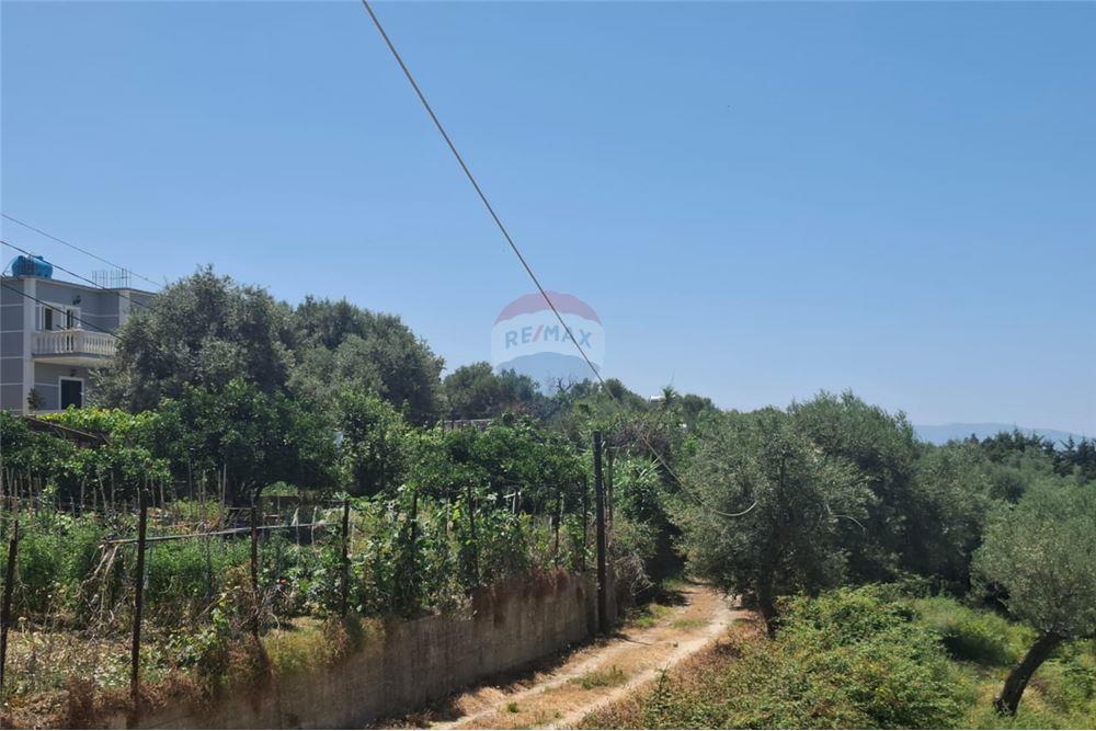 Terrain à vendre – Kuzum baba, Vlorë | 1000 m² oliveraie avec vue sur la mer (4)