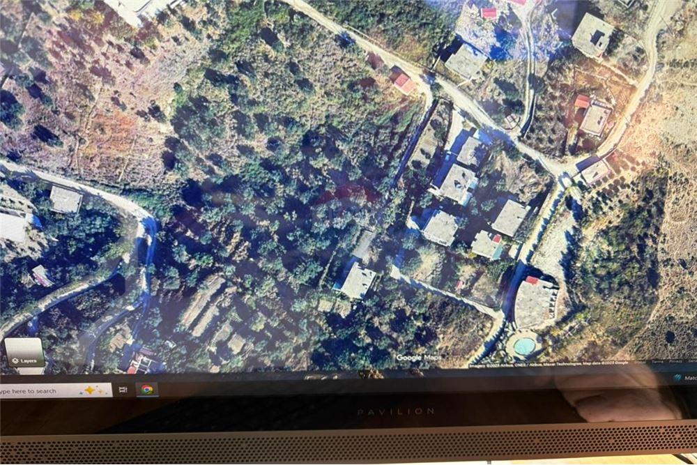 Terrain à vendre – Kuzum baba, Vlorë | 1000 m² oliveraie avec vue sur la mer (5)