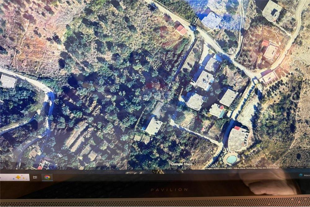 Terrain à vendre – Kuzum baba, Vlorë | 1000 m² oliveraie avec vue sur la mer (6)
