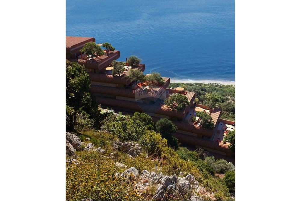 Rana hedhun, Lezhë