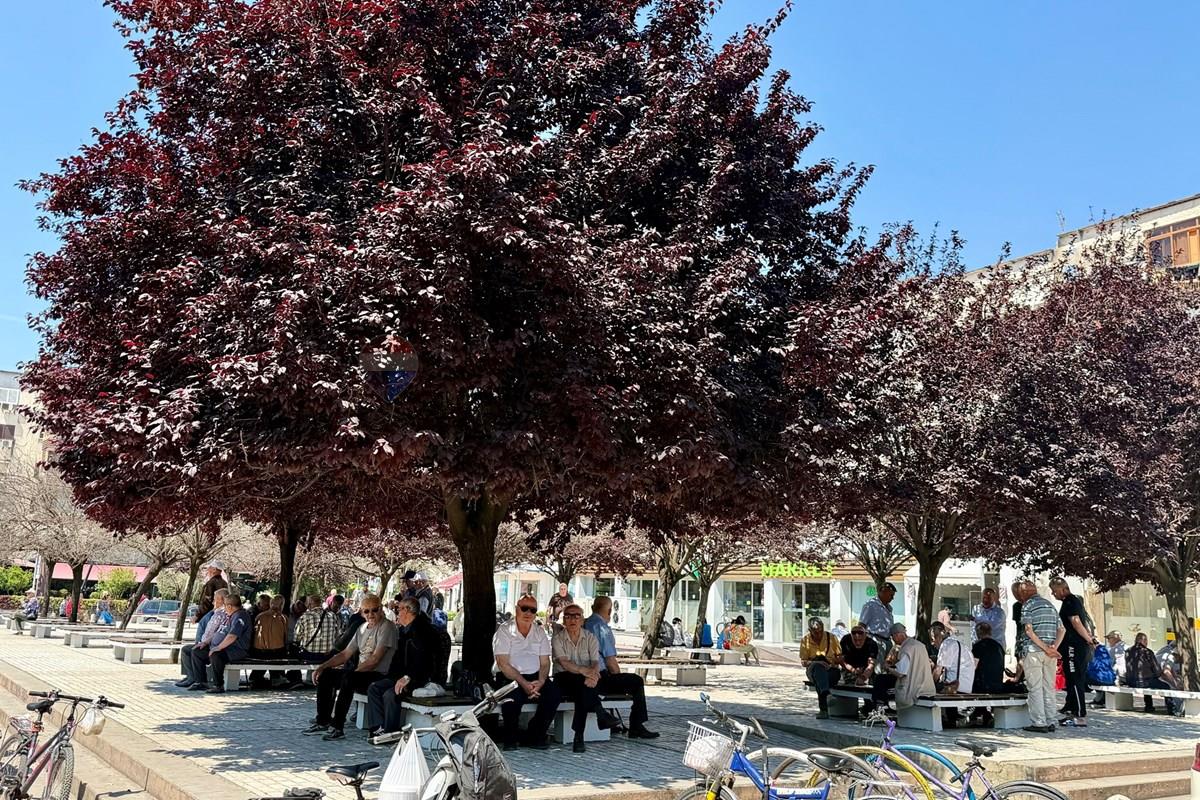 Ambiente in vendita