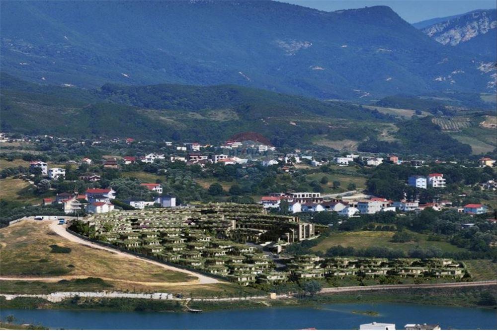 Liqeni i farkës, Tiranë
