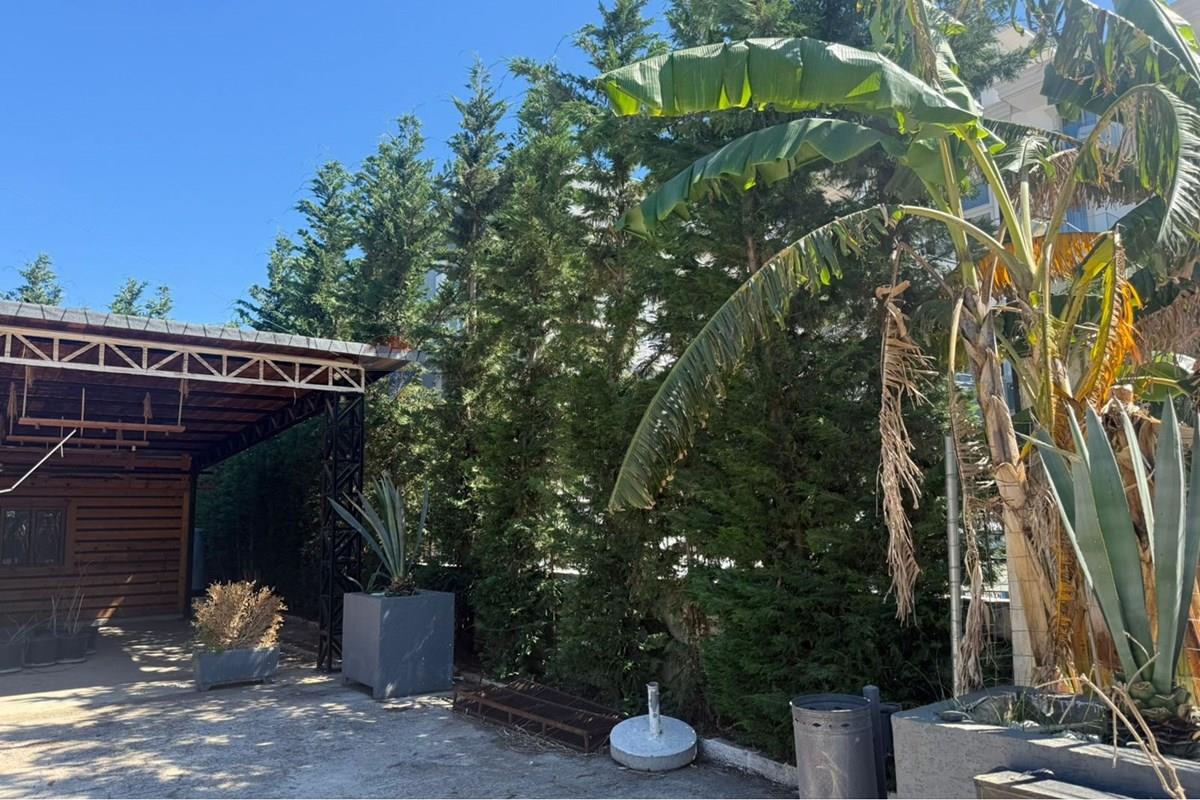 Local comercial en alquiler en ksamil