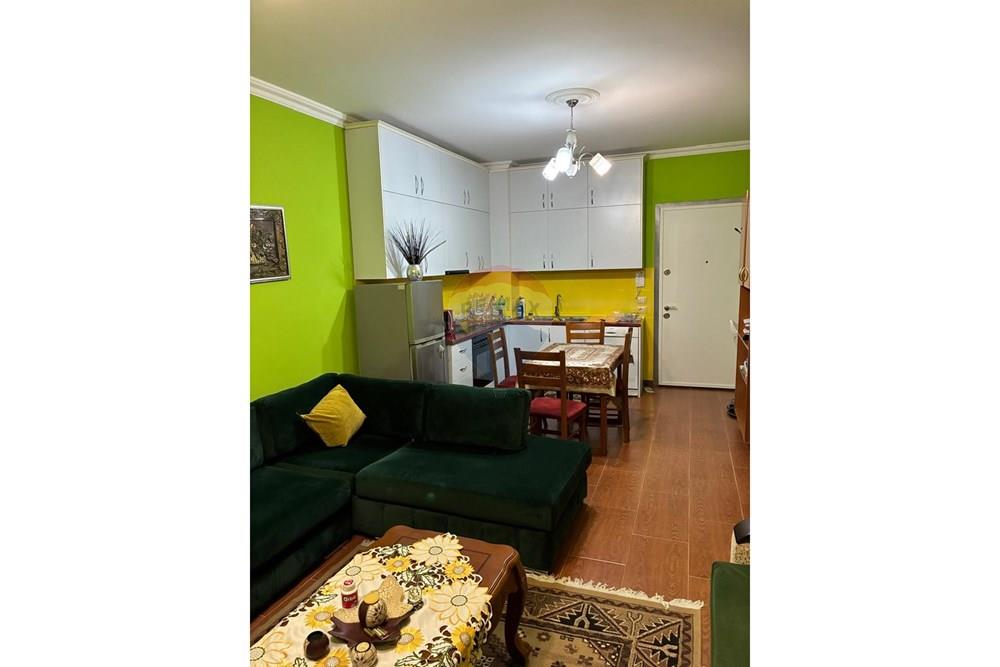Apartamento en alquiler 1+1 21 dhjetori, calle frosina plaku (2)