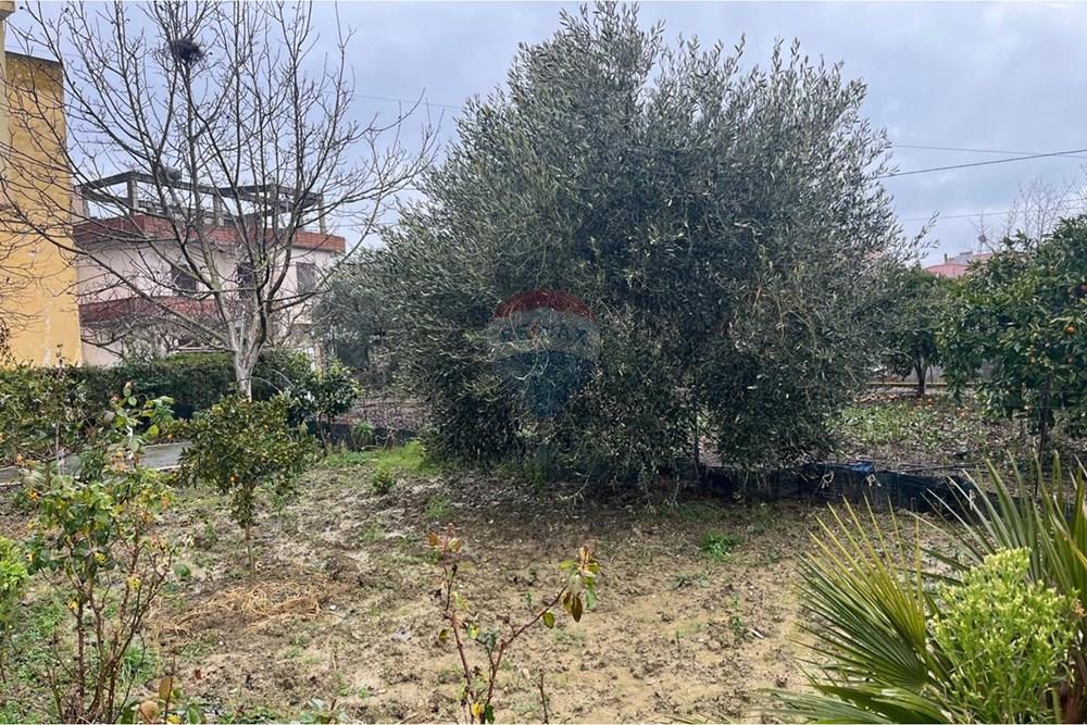 Kavajë, Kavajë (3)