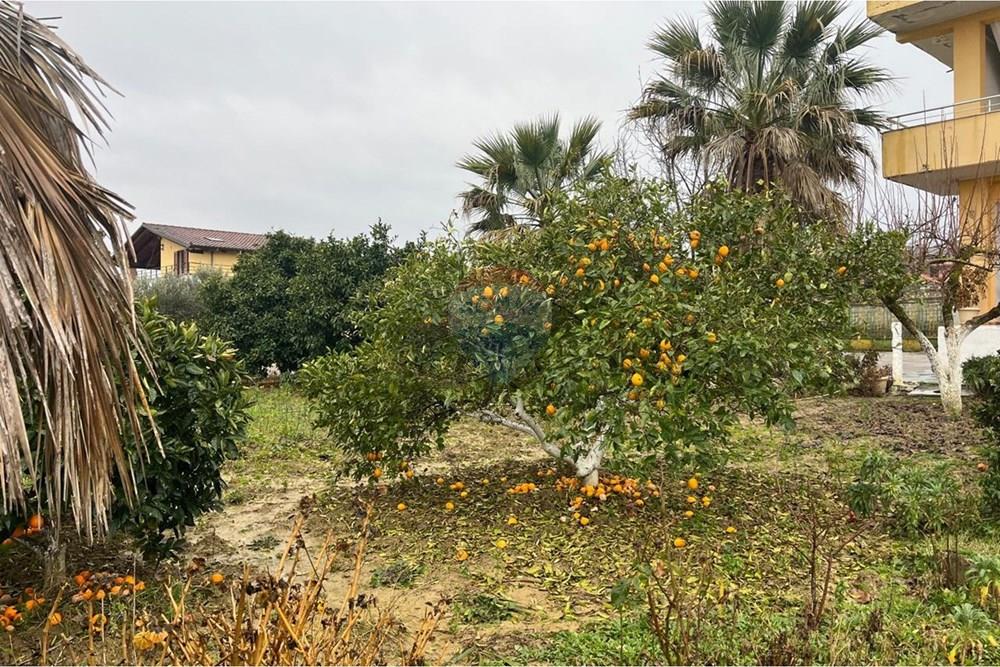 Kavajë, Kavajë (4)