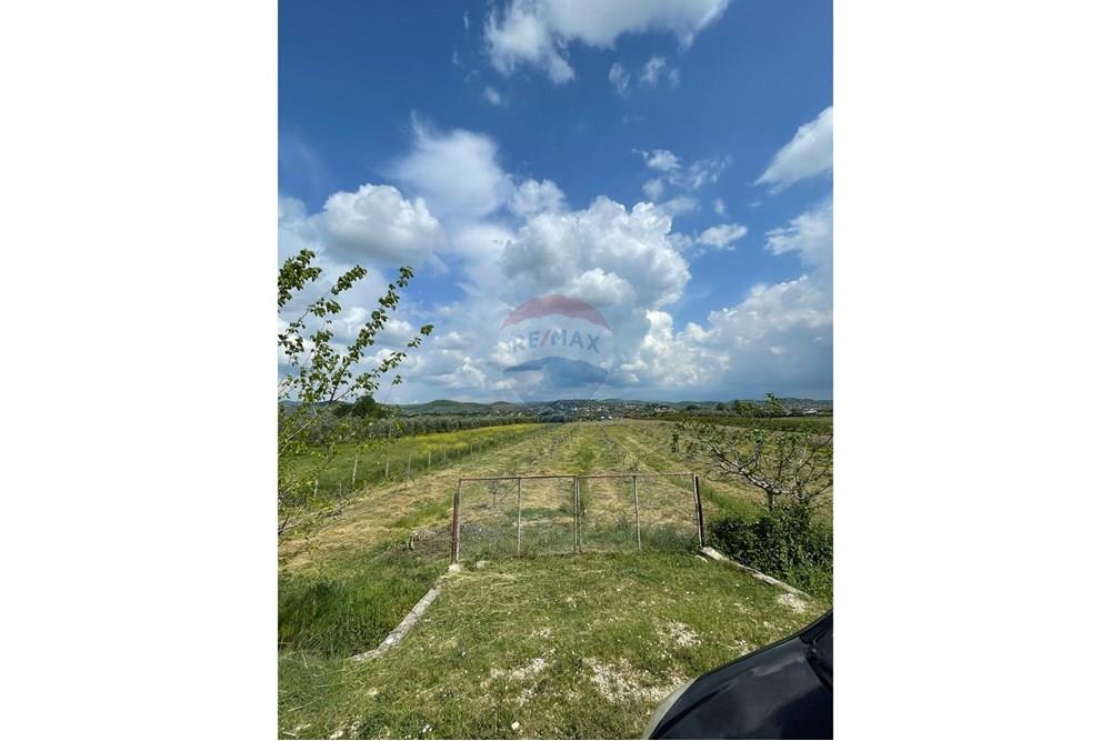 For sale 4021 square meters ullishte in kucove, rreth-tapi village